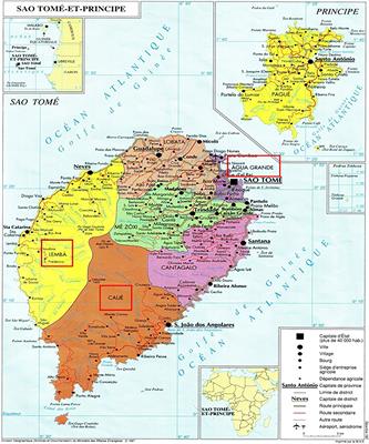 Presence of L1014F Knockdown-Resistance Mutation in Anopheles gambiae s.s. From São Tomé and Príncipe